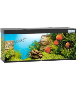 JUWEL® AQUARIUM Rio 450 LED