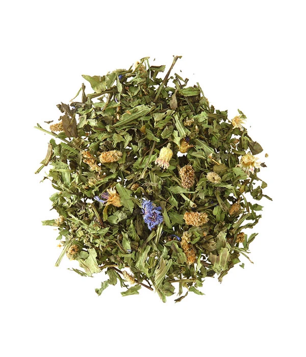 Dehner Spitzwegerich, 125 G 2 Dehner Spitzwegerich, 125 G – Bild 2