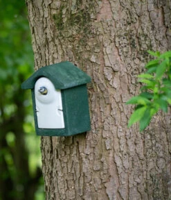 CJ Wildbird WoodStone® Nistkasten Holzbeton, Einflugloch Ca. Ø32 Mm, Grün -Heimtier Verkauf 2020600 2020634 WE MO 001 WoodStoneNistkastenHolzbetonGruen