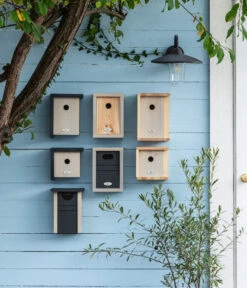 Dehner Natura Nistkasten Demeter, Ca. B18/H26/15 Cm -Heimtier Verkauf 20221026 WE MO 001 DehnerNaturaNistkaestenPatkar 2