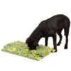 KERBL Pet Schnüffelteppich Für Hunde, Ca. B70/H5/T50 Cm