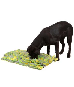 KERBL Pet Schnüffelteppich Für Hunde, Ca. B70/H5/T50 Cm
