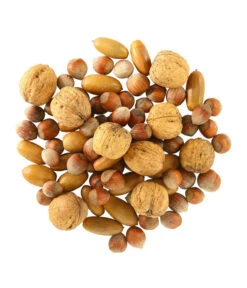 Dehner Natura Eichhörnchenfutter Nussmix, 250 G -Heimtier Verkauf 2204618 WE FS 001 NaturaEichhoernchenfutterNussMix250g