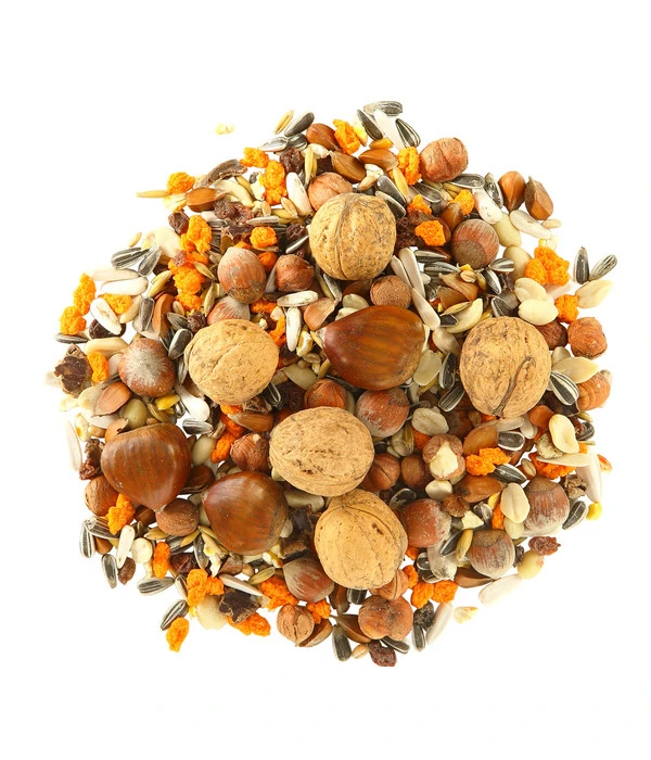 Dehner Natura Eichhörnchenfutter, 700 G 2 Dehner Natura Eichhörnchenfutter, 700 G – Bild 2