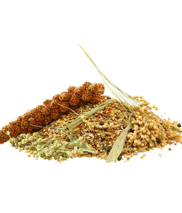 Dehner Best Nature Vogelfutter Wellensittiche 2 Dehner Best Nature Vogelfutter Wellensittiche – Bild 2