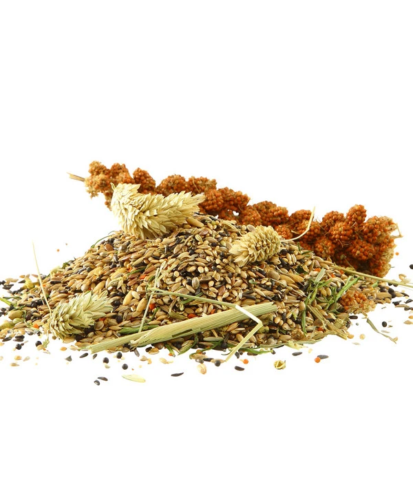 Dehner Best Nature Vogelfutter Kanarien 2 Dehner Best Nature Vogelfutter Kanarien – Bild 2