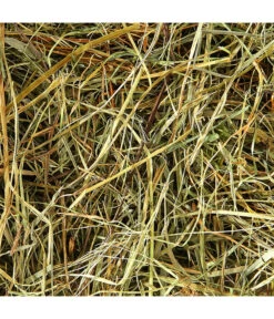 Dehner Bio Bergwiesenheu, 1,25 Kg -Heimtier Verkauf 2577856 WE D 001 DehnerBIOBergwiesenheu1250g