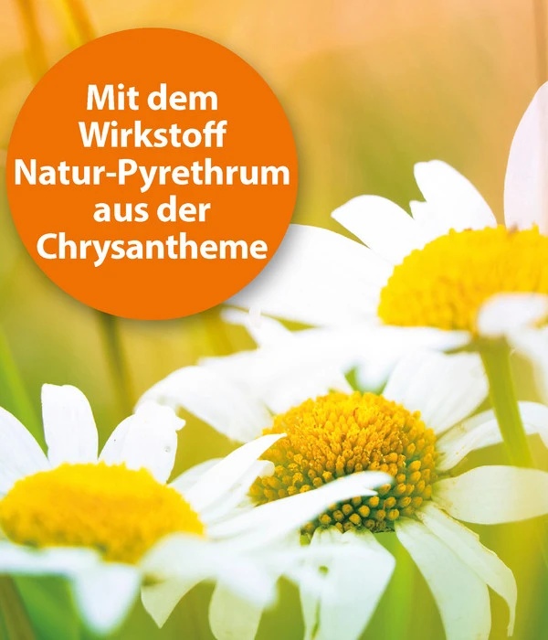 ARDAP® Zecken- Und Flohschutz Spot-On Für Katzen Ab 4 Kg, 3 X 0,8 Ml 2 ARDAP® Zecken- Und Flohschutz Spot-On Für Katzen Ab 4 Kg, 3 X 0,8 Ml – Bild 2