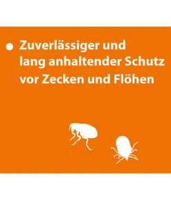 ARDAP® Zecken- Und Flohschutz Spot-On Für Katzen Ab 4 Kg, 3 X 0,8 Ml 10 ARDAP® Zecken- Und Flohschutz Spot-On Für Katzen Ab 4 Kg, 3 X 0,8 Ml -Heimtier Verkauf 2599165 WE DE 004 ArdapQuikoKZbhSpotOn4kgPlus