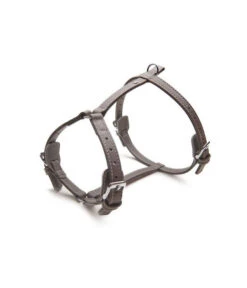 Das Lederband Hundegeschirr Style Amsterdam Lava