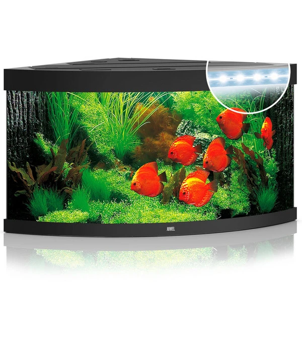 JUWEL® AQUARIUM Trigon 350 LED 2 JUWEL® AQUARIUM Trigon 350 LED – Bild 2