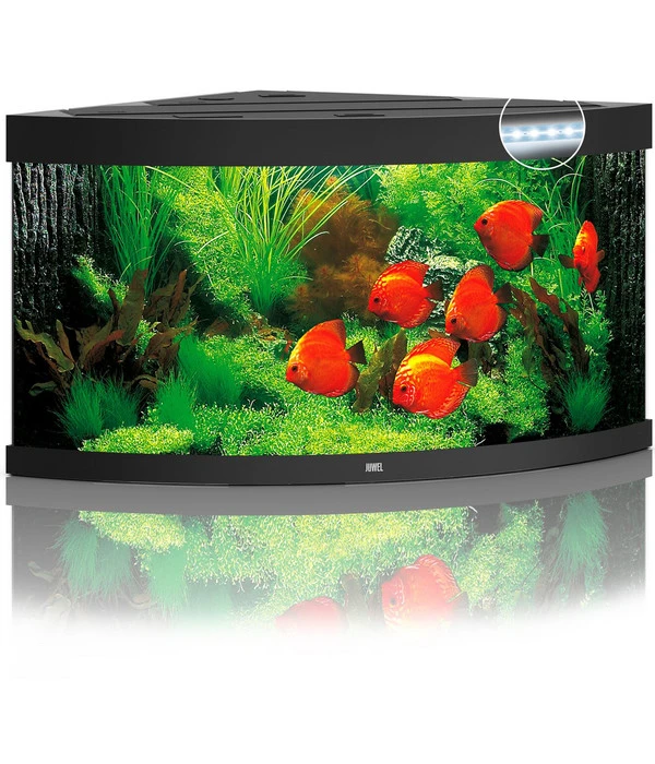 JUWEL® AQUARIUM Trigon 350 LED 1 JUWEL® AQUARIUM Trigon 350 LED