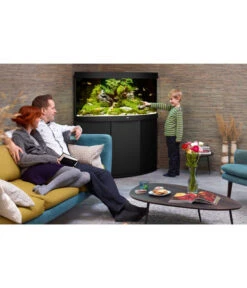 JUWEL® AQUARIUM Trigon 350 LED 11 JUWEL® AQUARIUM Trigon 350 LED -Heimtier Verkauf 2759124 WE M 001 JuwelTrigon350Schwarz