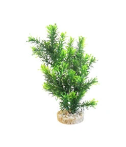 Sydeco Kit Kombi 5, Kunstpflanzen, 5 Stück 13 Sydeco Kit Kombi 5, Kunstpflanzen, 5 Stück -Heimtier Verkauf 2999134 WE D 004 SydecoKitKombi5