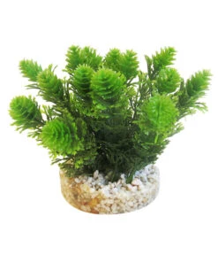 Sydeco Kit Kombi 5, Kunstpflanzen, 5 Stück 10 Sydeco Kit Kombi 5, Kunstpflanzen, 5 Stück -Heimtier Verkauf 2999134 WE D 005 SydecoKitKombi5