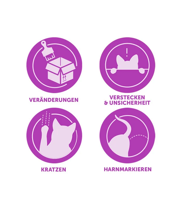 FELIWAY® Alltagshelfer Classic Start-Set 7 FELIWAY® Alltagshelfer Classic Start-Set – Bild 7