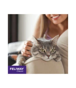 FELIWAY® Alltagshelfer Classic Nachfüllflakon -Heimtier Verkauf 3019957 WE M 001 neuCevaFeliwayClassicStarterSet