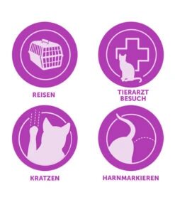 FELIWAY® Alltagshelfer Classic Nachfüllflakon -Heimtier Verkauf 3019957 WE M 003 CevaFeliwayClassicStarterSet