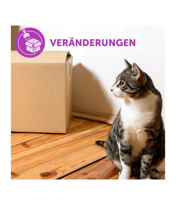 FELIWAY® Alltagshelfer Classic Start-Set 3 FELIWAY® Alltagshelfer Classic Start-Set – Bild 3