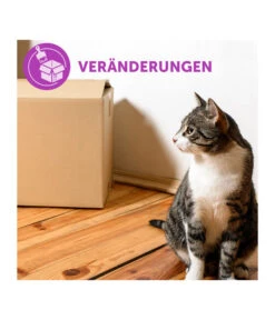 FELIWAY® Alltagshelfer Classic Nachfüllflakon -Heimtier Verkauf 3019957 WE M 003 neuCevaFeliwayClassicStarterSet