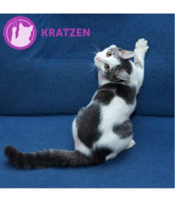 FELIWAY® Alltagshelfer Classic Nachfüllflakon -Heimtier Verkauf 3019957 WE M 004 CevaFeliwayClassicStarterSet