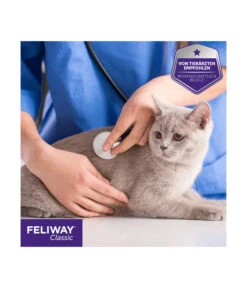 FELIWAY® Alltagshelfer Classic Start-Set 12 FELIWAY® Alltagshelfer Classic Start-Set -Heimtier Verkauf 3019957 WE M 007 neuCevaFeliwayClassicStarterSet