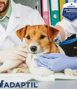 ADAPTIL® Calm Nachfüllflakon 9 ADAPTIL® Calm Nachfüllflakon -Heimtier Verkauf 3020054 3020062 WE MO 002 AdaptilCalmVerdampferStarterSetNF
