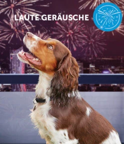 ADAPTIL® Calm Nachfüllflakon 12 ADAPTIL® Calm Nachfüllflakon -Heimtier Verkauf 3020054 3020062 WE MO 003 CevaHZbhAdaptilCalm