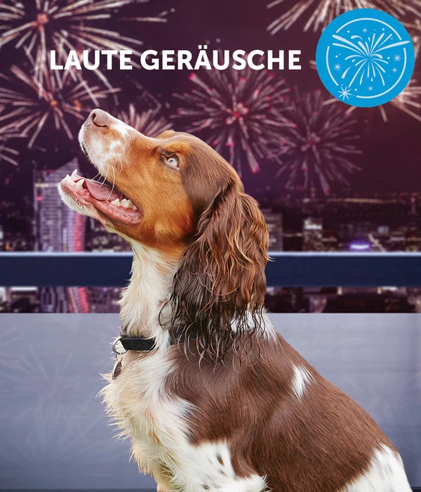 ADAPTIL® Calm Nachfüllflakon 6 ADAPTIL® Calm Nachfüllflakon – Bild 6