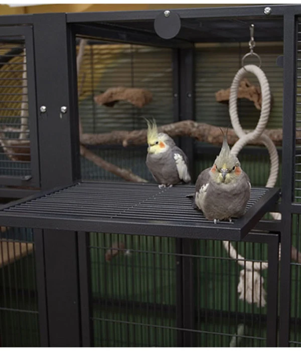 Montana Vogelvoliere Palace II, Antik 2 Montana Vogelvoliere Palace II, Antik – Bild 2