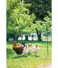 KERBL Geflügelnetz PoultryNet, Elektrifizierbar, Doppelspitze 9 KERBL Geflügelnetz PoultryNet, Elektrifizierbar, Doppelspitze -Heimtier Verkauf 3085065 3085057 6743611 WE MO 001 KerblHobbyfarmingPoultryNetGefluegelnetz