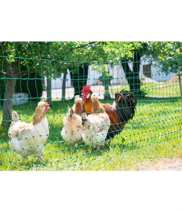 KERBL Geflügelnetz PoultryNet, Elektrifizierbar, Doppelspitze 2 KERBL Geflügelnetz PoultryNet, Elektrifizierbar, Doppelspitze – Bild 2