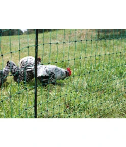 KERBL Geflügelnetz PoultryNet, Elektrifizierbar, Doppelspitze 10 KERBL Geflügelnetz PoultryNet, Elektrifizierbar, Doppelspitze -Heimtier Verkauf 3085065 3085057 6743611 WE MO 004 KerblHobbyfarmingPoultryNetGefluegelnetz