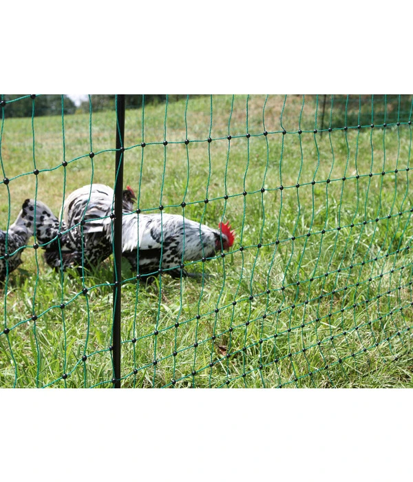 KERBL Geflügelnetz PoultryNet, Elektrifizierbar, Doppelspitze 4 KERBL Geflügelnetz PoultryNet, Elektrifizierbar, Doppelspitze – Bild 4