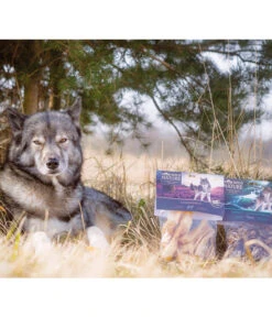 Dehner Wild Nature Hundesnack Lammohren, 200 G -Heimtier Verkauf 3256484 3256195 WE M 001 DehnerNatureHirschlungenwuerfelundLammohren