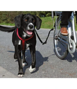 Trixie Friends On Tour Biker-Set De Luxe Fahrradhalterung Für Hunde