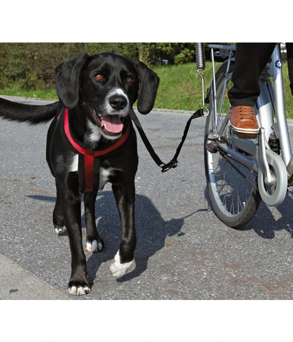 Trixie Friends On Tour Biker-Set De Luxe Fahrradhalterung Für Hunde 1 Trixie Friends On Tour Biker-Set De Luxe Fahrradhalterung Für Hunde
