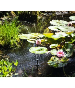 Esotec Solarpumpe Palermo LED Für Den Gartenteich -Heimtier Verkauf 3923687 BildM 002 EsotecGartenteichSolarpumpePalermoLedSolarpumpensyPalermoLed