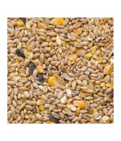 My Little Farm Bio Hennenkorn -Heimtier Verkauf 4078291 WE D 001 MylittleFarmHennenkorn2kg