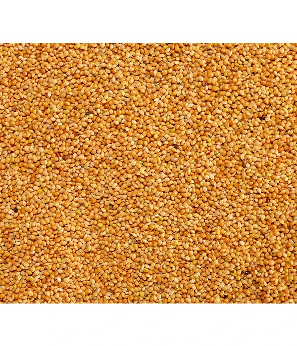 Dehner Gelbe Hirse, 1 Kg 3 Dehner Gelbe Hirse, 1 Kg – Bild 3