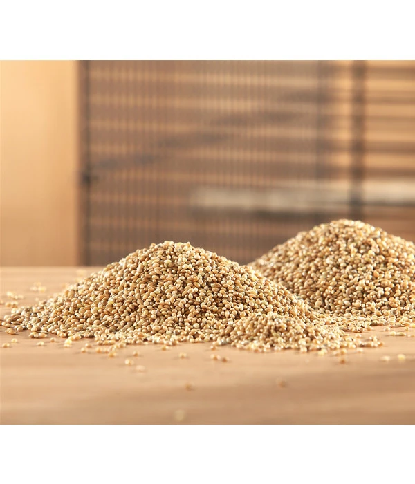 Dehner Gelbe Hirse, 1 Kg 2 Dehner Gelbe Hirse, 1 Kg – Bild 2