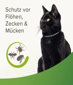 Beaphar Zecken- Und Flohschutzband Für Katzen, 35 Cm -Heimtier Verkauf 4142816 WE DE 002 BeaKZbhZeckenFlohschutzHalsbandReflektierend