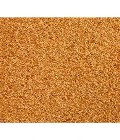 Dehner Senegalhirse, 1 Kg 5 Dehner Senegalhirse, 1 Kg -Heimtier Verkauf 415224 BildD 001 DehnerQualitaetsfutterSenegalhirseSenegalhirse1Kg