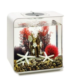 BiOrb® Aquarumdeko Decor Set 15 L Red Forest -Heimtier Verkauf 4163606 WE M 003 BiOrbDecorSet15LRedForest
