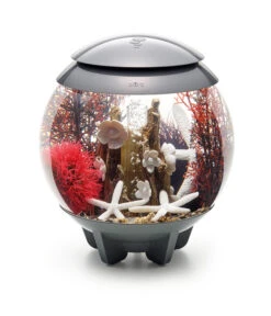 BiOrb® Aquarumdeko Decor Set 15 L Red Forest -Heimtier Verkauf 4163606 WE M 004 BiOrbDecorSet15LRedForest