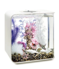 BiOrb® Aquariumdeko Decor Set 30 L Pink Ocean -Heimtier Verkauf 4163804 WE M 002 BiOrbAquariumdekoDecorSet30LPinkOcean
