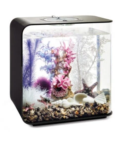 BiOrb® Aquariumdeko Decor Set 30 L Pink Ocean -Heimtier Verkauf 4163804 WE M 003 BiOrbAquariumdekoDecorSet30LPinkOcean