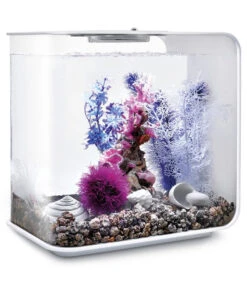 BiOrb® Aquariumdeko Decor Set 30 L Pink Ocean -Heimtier Verkauf 4163804 WE M 004 BiOrbAquariumdekoDecorSet30LPinkOcean