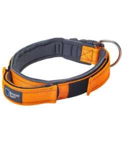 ArmoredTech® Hundehalsband Dog Control, Orange