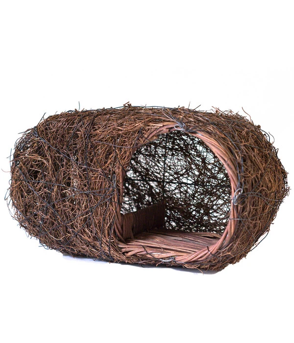 Wildlife Nisthöhle Simon King 1 Wildlife Nisthöhle Simon King